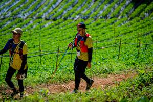 BIB: 
                            <button type="button" onclick="openModal(19164417)" class="btn btn-primary btn-sm float-right btn-popup" data-toggle="modal" data-target=".modal-high-quality">
                        <i class="fas fa-shopping-cart"></i> Add to Cart
                    </button>
                                            <button type="button" onclick="isThisMe(19164417, true)" class="btn btn-success btn-sm float-right btn-popup btn-isme hidden" data-toggle="tooltip" data-placement="bottom" title="นี่คือรูปของคุณใช่ไหม คลิกที่นี่เพื่อเอาเข้าอัลบั้ม">
                        <i class="fas fa-plus"></i> Add to album
                    </button>
                    <button type="button" onclick="isThisMe(19164417, false)" class="btn btn-warning btn-sm float-right btn-popup btn-isnotme hidden">
                        <i class="fas fa-ban"></i> Remove from album
                    </button>